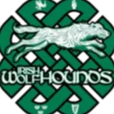 Irish Wolfhounds